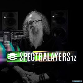Steinberg SpectraLayers Pro v12.0.40 Incl V.R