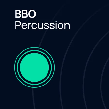 VSL维也纳交响音乐库-打击乐-VSL Big Bang Orchestra Percussion v1.1 for Synchron Player
